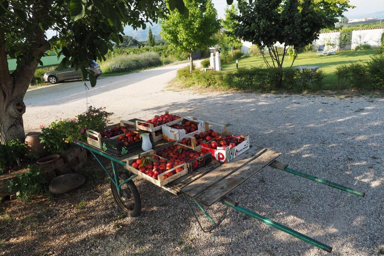 Agriturismo Fior Di Maggio Pescantina Exteriér fotografie