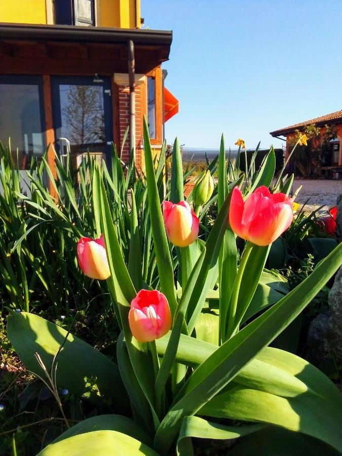 Agriturismo Fior Di Maggio Pescantina Exteriér fotografie
