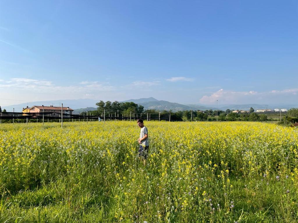 Agriturismo Fior Di Maggio Pescantina Exteriér fotografie