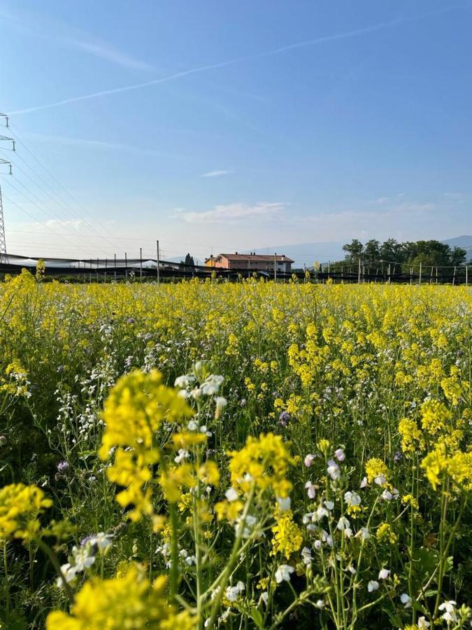 Agriturismo Fior Di Maggio Pescantina Exteriér fotografie