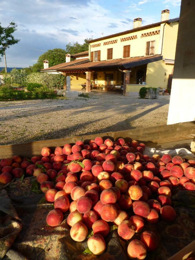 Agriturismo Fior Di Maggio Pescantina Exteriér fotografie